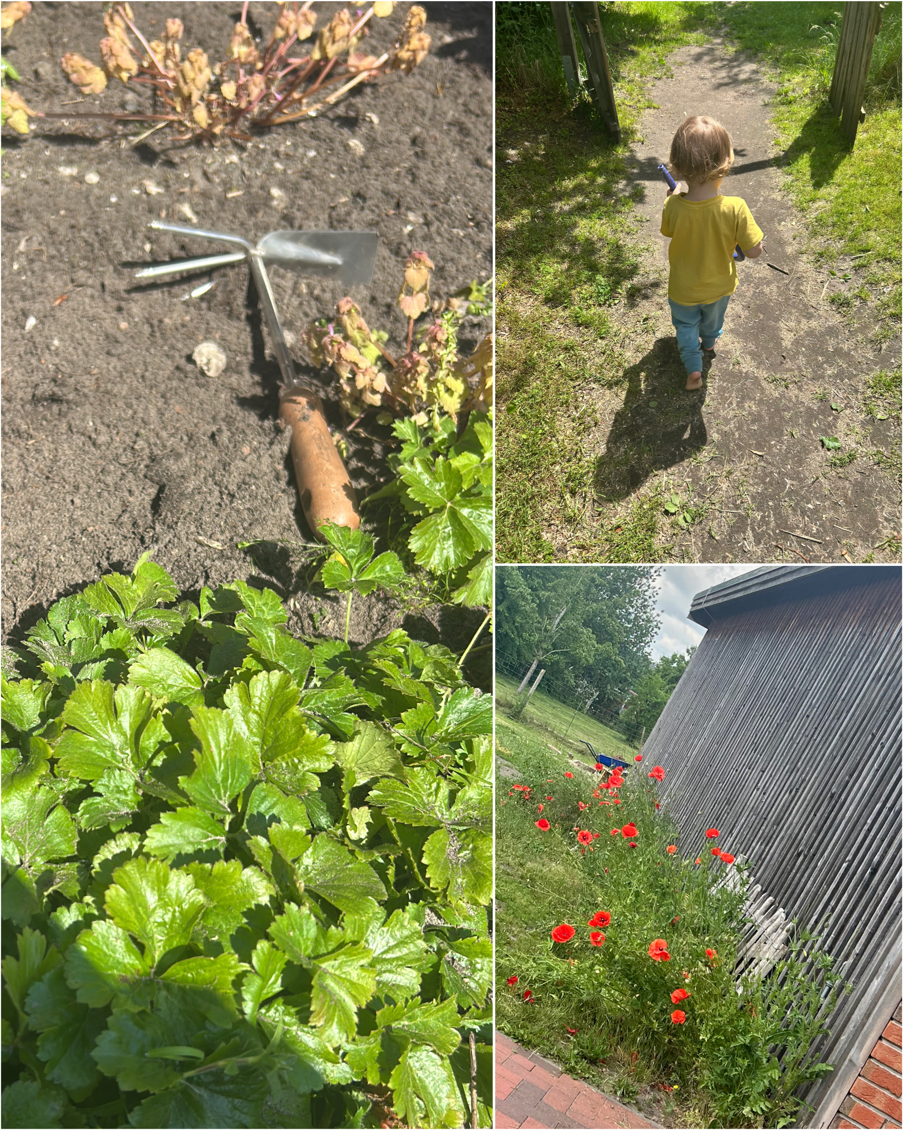 gartentag
